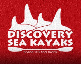 Discovery Sea Kayaks Logo