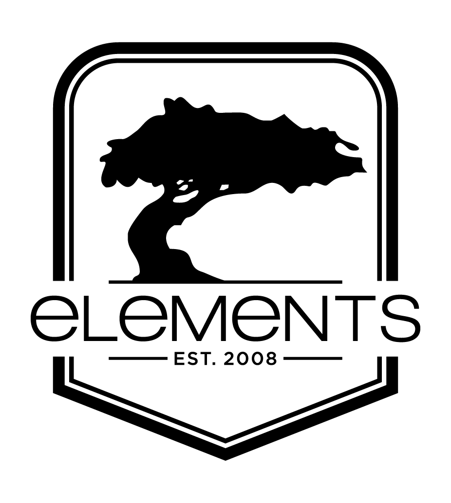 Elements Wilderness Program Logo