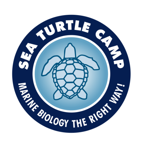 Sea Turtle Camp Logo