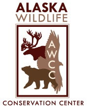 Alaska Wildlife Conservation Center Logo