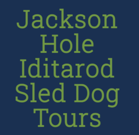 Jackson Hole Iditarod Sled Dog Tours Logo
